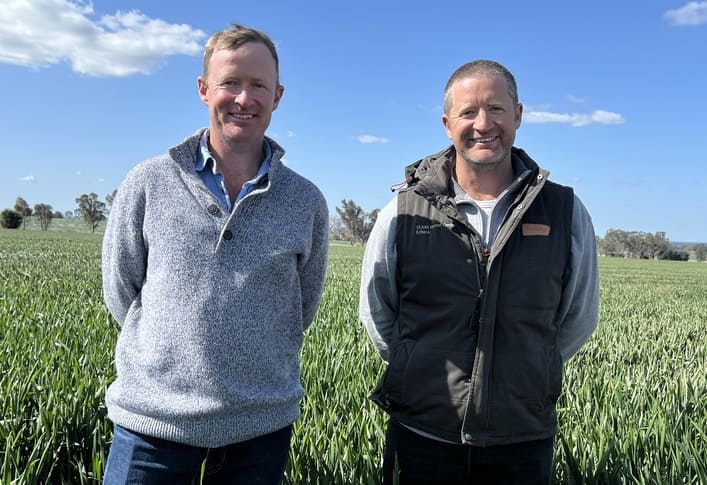 Growing a farm business helps support Hill family succession