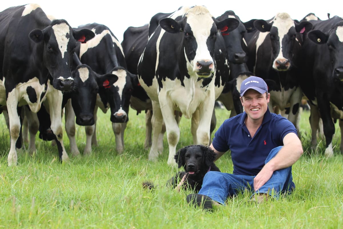 Alistair Harris on farm