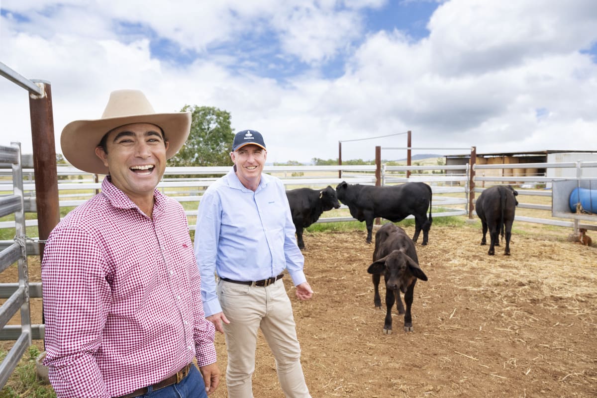 Rabobank global insights a stand out at Beef 2024