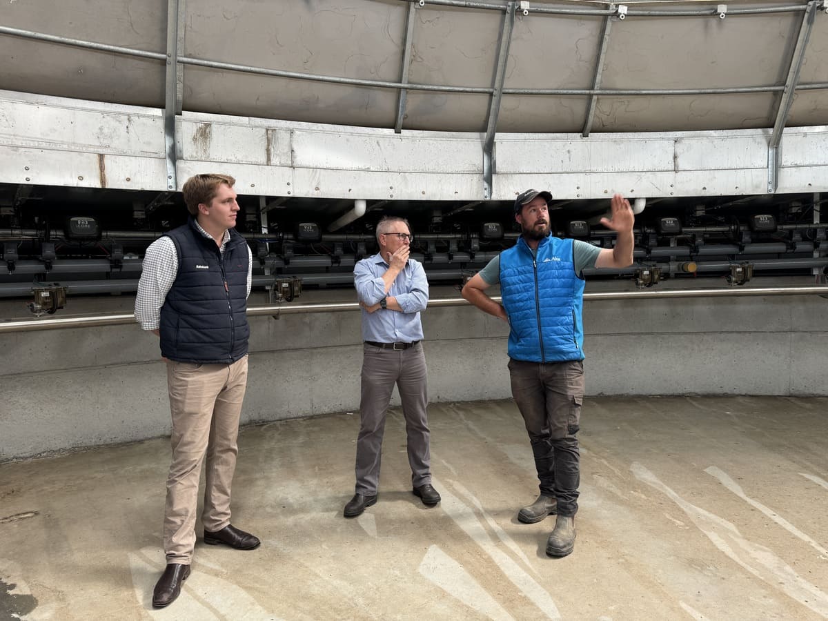 Callum runs Rabobank’s Alex Bennett and Craig Hoober through the newly completed dairy