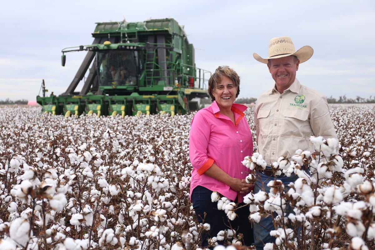 Dirrinbandi’s Burrell family helped pioneer cotton