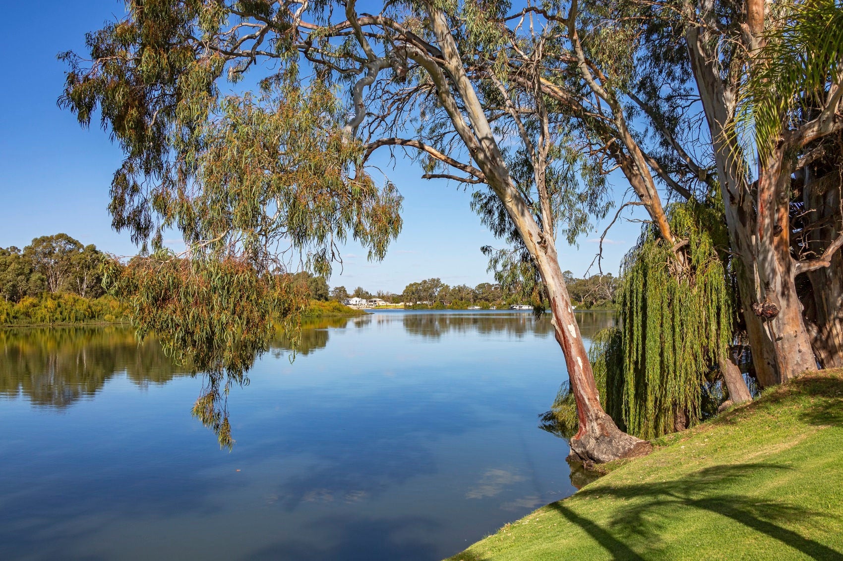 Renmark Branch