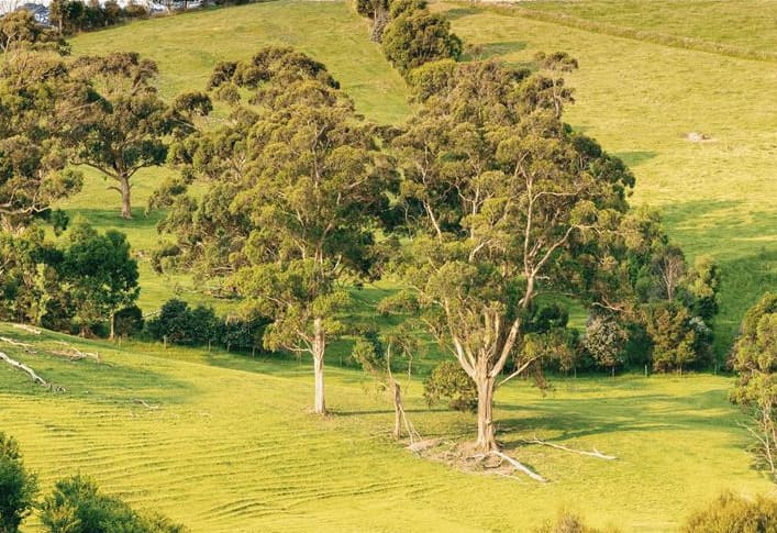 Rabobank is pleased to be working with the Clean Energy Finance Corporation (CEFC) by securing low cost loan funding