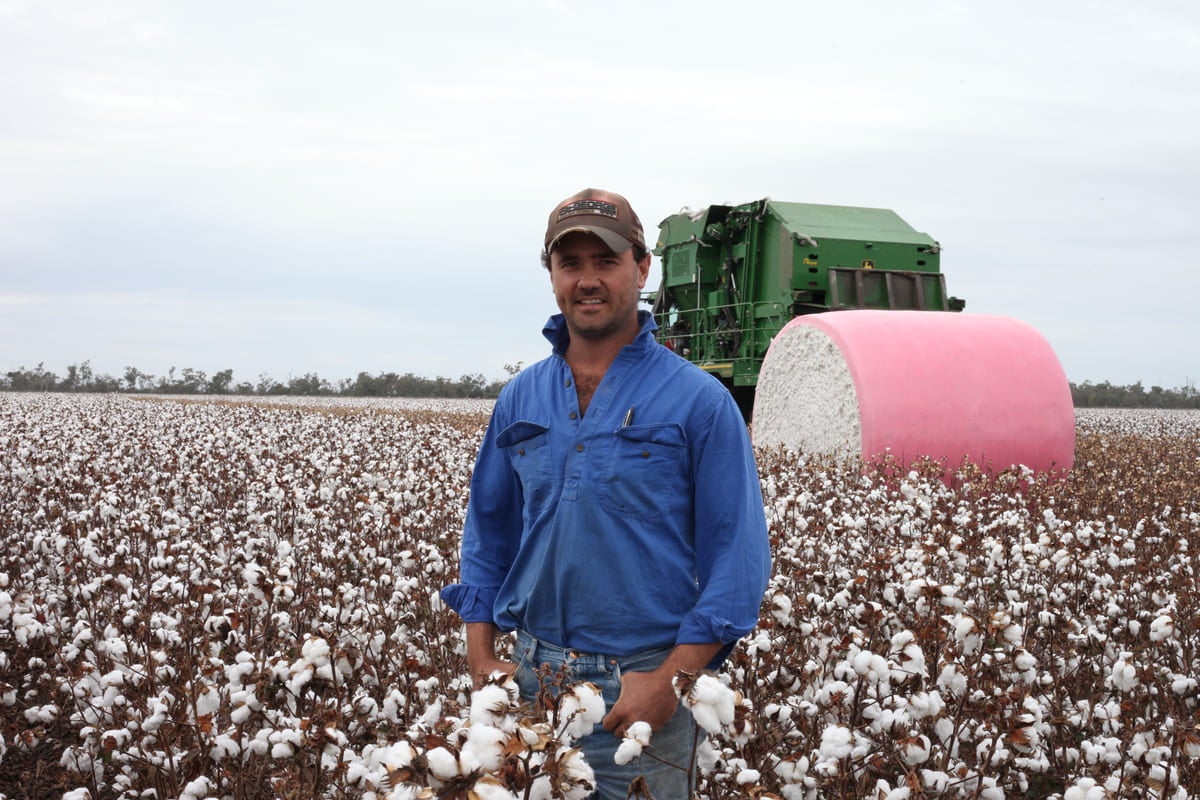 Dirrinbandi’s Burrell family helped pioneer cotton