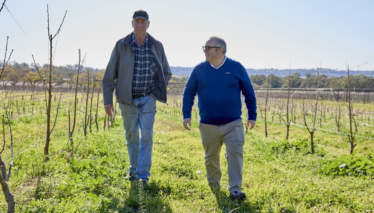 Rabobank Manager Paul Millett with Mark Silm of Cedar Creek Orchard, Picton