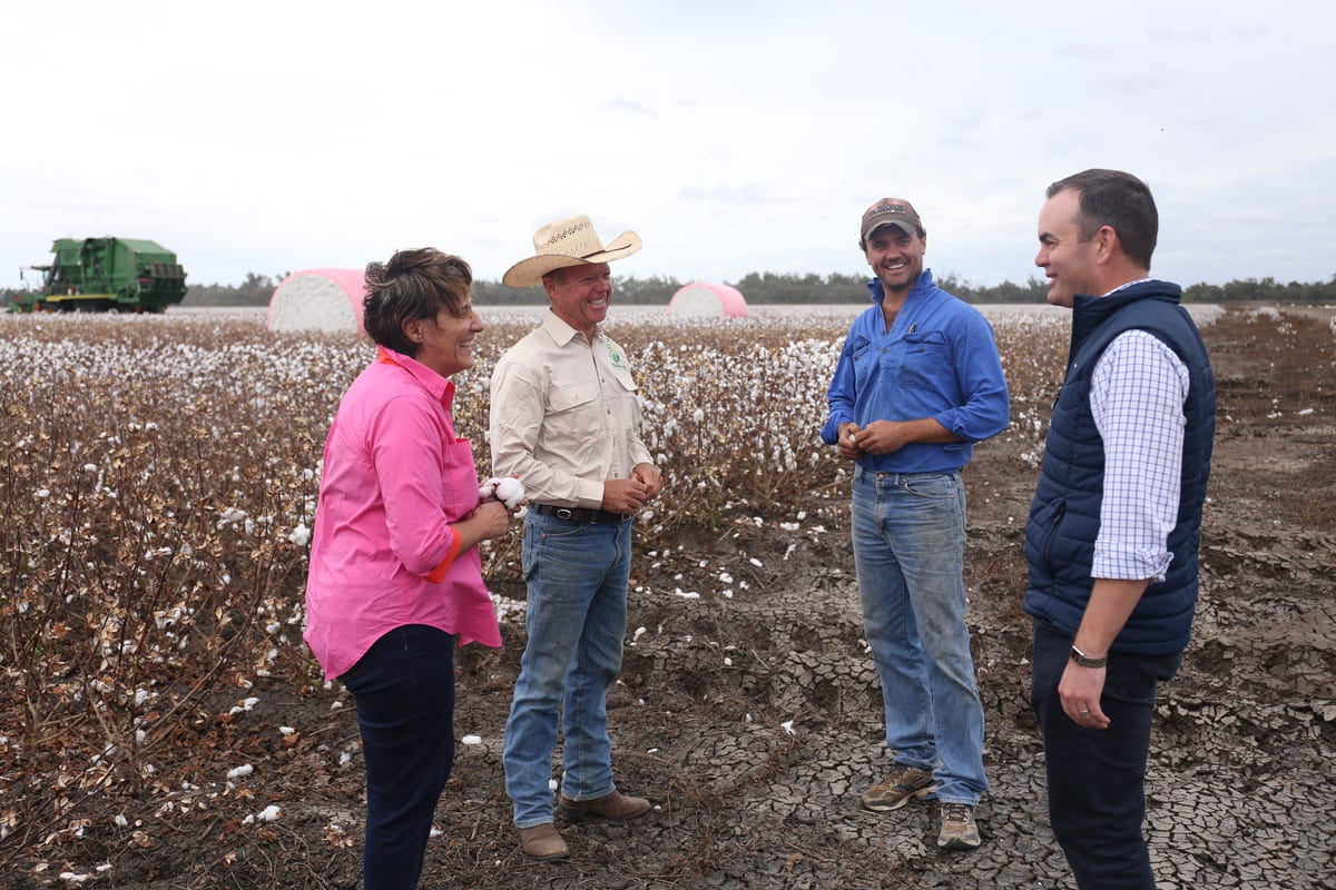 Dirrinbandi’s Burrell family helped pioneer cotton