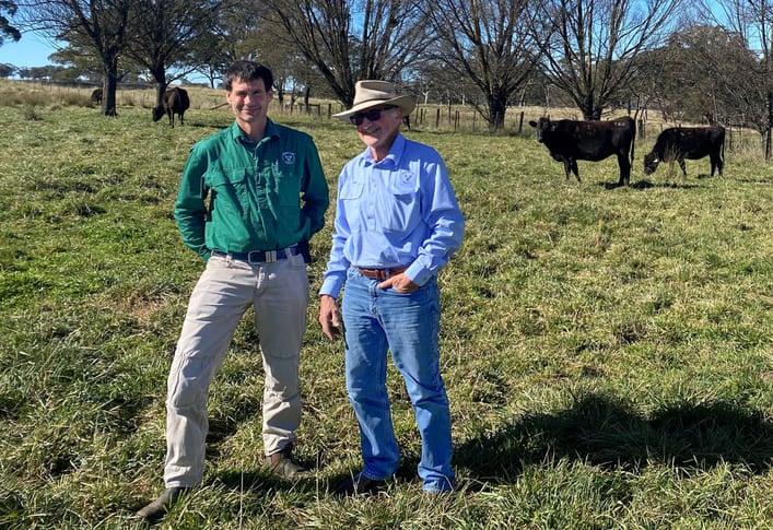 Michael Bavea and his father, John, have transformed the family’s Ben Lomond beef operation.
