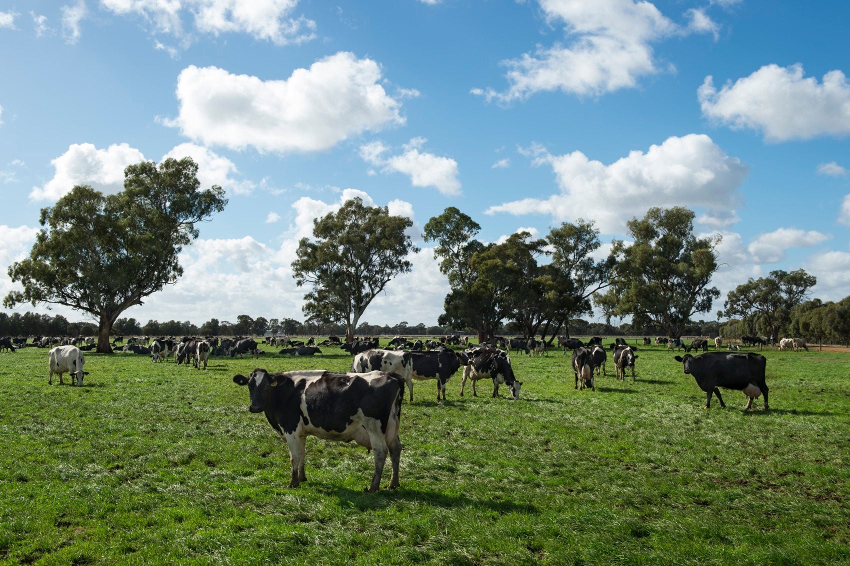 Meet the Warrnambool Team