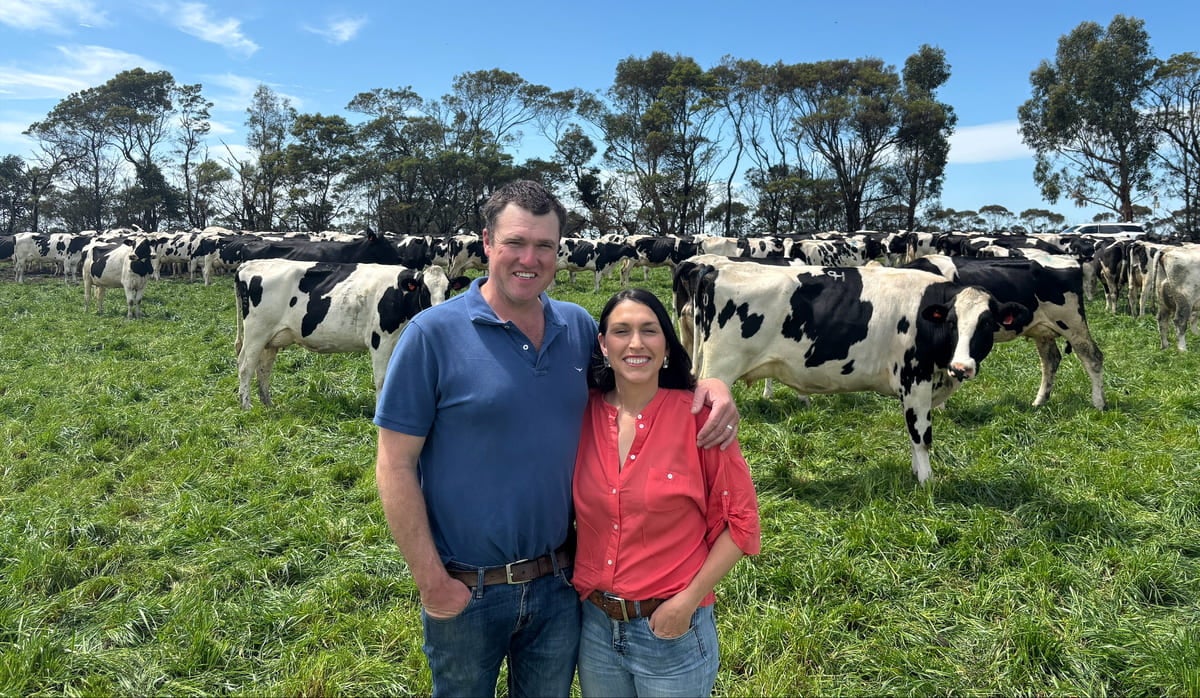 Harris family build a strong dairy future in Larpent