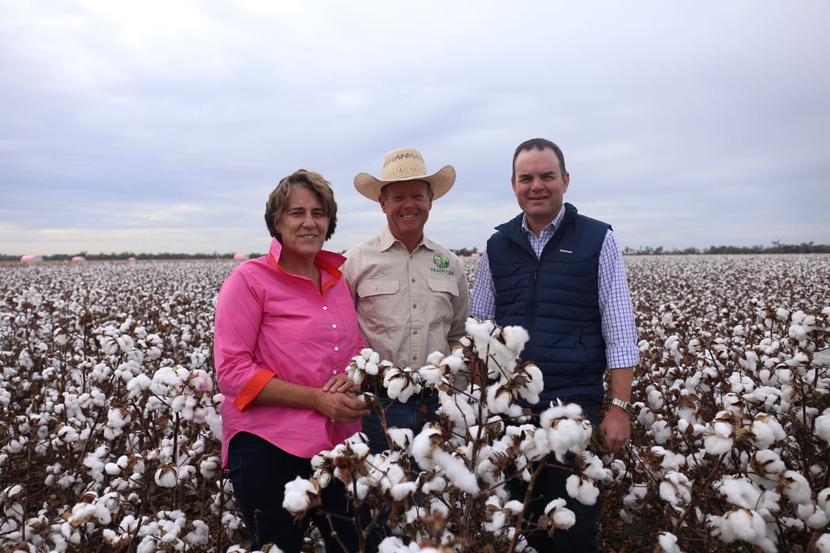 Dirrinbandi’s Burrell family helped pioneer cotton