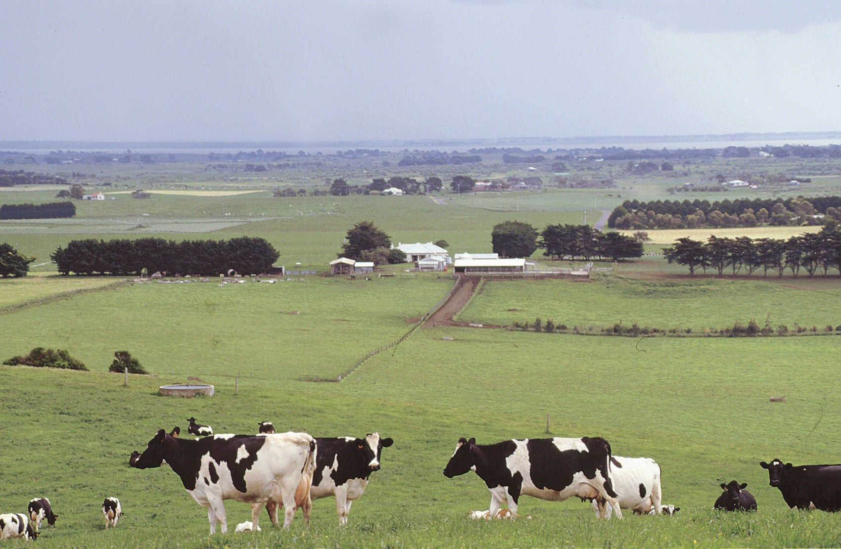 Meet the Warrnambool Team